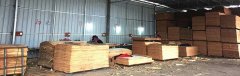 无翘曲、变形、开裂现
